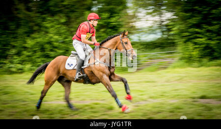 Un cavalier galope pendant une course de chevaux dans la région de Somerset, Royaume-Uni Banque D'Images