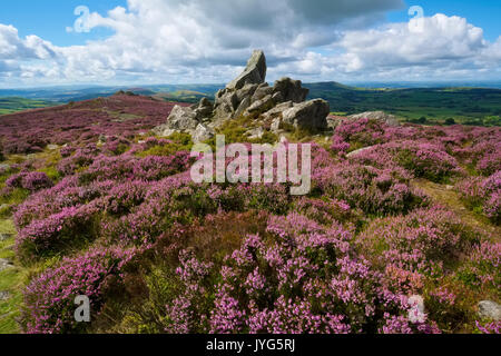 Rocher du Diamant sur la Stiperstones, Shropshire. Banque D'Images