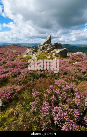 Rocher du Diamant sur la Stiperstones, Shropshire, England, UK Banque D'Images