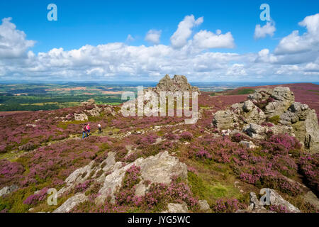 La chaise du diable et purple heather sur les Stiperstones, Shropshire, Angleterre, Royaume-Uni Banque D'Images