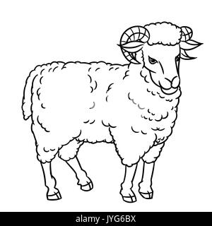 Dessin à la main les moutons. Les animaux de ferme. Le style graphique de croquis. L'éducation pour la conception du texte livre, livre de coloriage. Illustration de Vecteur