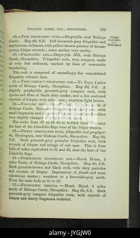 Un catalogue détaillant les spécimens de roche conservés au Musée de géologie pratique, avec descriptions et classifications de divers échantillons géologiques à la page 189. Banque D'Images