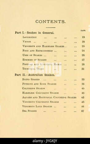 Un compte rendu populaire de serpents australiens BHL4382141 Banque D'Images