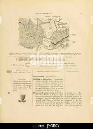 Un catalogue de la collection de fossiles du Cambrien et du Silurien contenues dans le Musée géologique de l'Université de Cambridge (page 9) BHL13770037 Banque D'Images