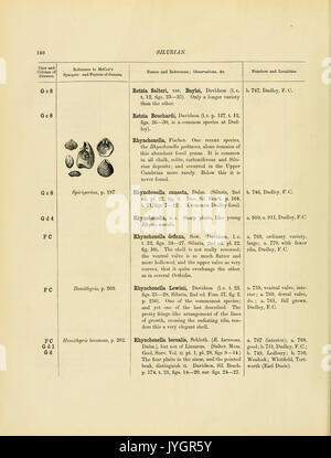 Un catalogue de la collection de fossiles du Cambrien et du Silurien contenues dans le Musée géologique de l'Université de Cambridge (page 140) BHL13770168 Banque D'Images