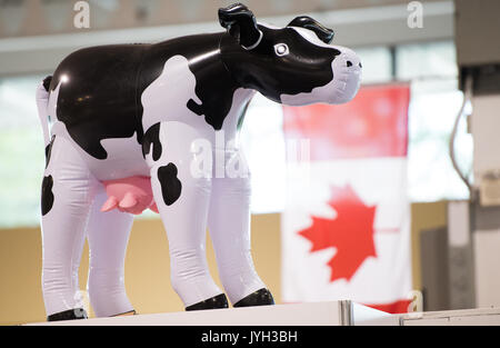 (170819) -- Toronto (Canada), le 19 août 2017 (Xinhua) -- un lait de vache gonflable est vu à l'Exposition nationale canadienne à Toronto, Canada, le 18 août, 2017. Les États-Unis ont ouvert à l'âge de 23 ans, Accord de libre-échange nord-américain (ALENA) renégociations mercredi par une déclaration qu'il veut des changements majeurs à l'accord qui déplace l'équilibre de l'échange. Toutefois, les propriétaires d'entreprise canadiens espèrent que les négociateurs des États-Unis sera réceptif à maintenir, voire d'améliorer, la circulation des biens et des travailleurs de l'autre côté de la frontière. Bien que l'industrie laitière a été exclu de l'original Banque D'Images