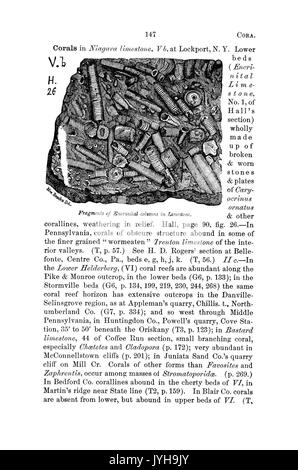 Un dictionnaire des fossiles de la Pennsylvanie et les états voisins nommés dans les rapports et les catalogues de l'enquête (page 147) BHL42417018 Banque D'Images