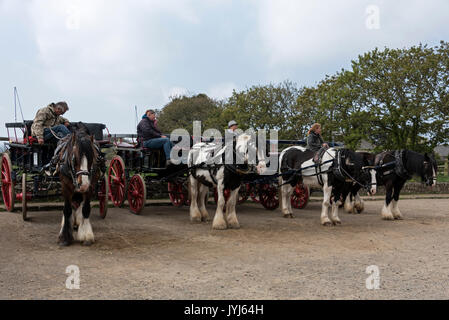 Une rangée de calèches en location sur Harbour Hill, en attente de touristes en visite à cheval autour de l'île de Sark, dans le bailliage de Guernesey Banque D'Images