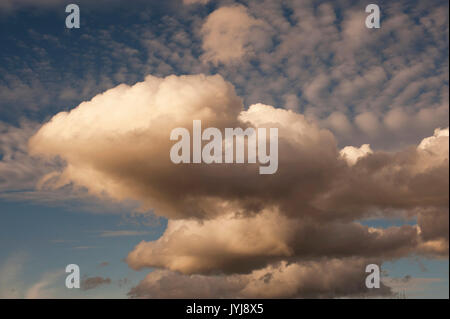 Cumulus avec la croissance verticale et cirruscumulus vers le coucher du soleil Banque D'Images