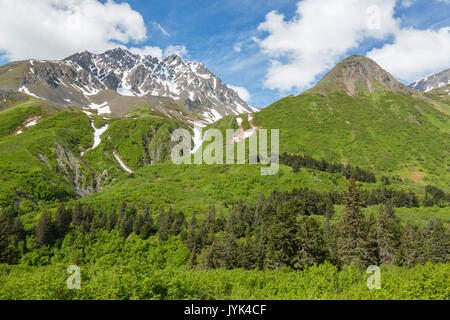 Sentier du lac perdu, la Forêt Nationale de Chugach, Seward, Alaska, USA Banque D'Images