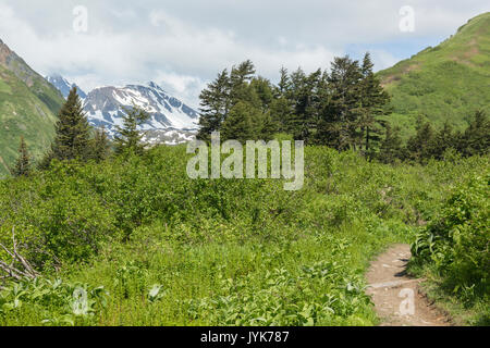 Sentier du lac perdu, la Forêt Nationale de Chugach, Seward, Alaska, USA Banque D'Images