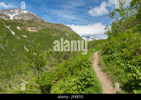 Sentier du lac perdu, la Forêt Nationale de Chugach, Seward, Alaska, USA Banque D'Images
