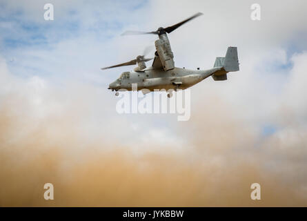 Un Corps des Marines MV-22 Osprey s'élance à travers le ciel au-dessus de Hokkaido, Japon, le 18 août 2017, à l'appui du nord de Viper 2017. Cet exercice teste la capacité de l'interopérabilité et la Japon bilatérales d'autodéfense au sol et les forces du Corps des Marines des États-Unis de travailler ensemble et donne l'occasion d'effectuer un entraînement réaliste dans un environnement inconnu. Ceci, combiné à l'exercice conjoint est tenu à renforcer la coopération régionale entre les nations participantes à dissuader collectivement les menaces de sécurité. L'aéronef est affecté à l'escadron 262 à rotors basculants Support Marine, Marine Aircraft Group 36 Banque D'Images