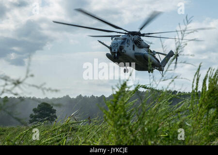 Un Corps des Marines américains CH-53 Super Stallion atterrit à la zone d'atterrissage Bluebird lors d'un déploiement de la formation (DFT) sur Fort Pickett, VA., 11 août 2017. Tdf est une semaine de l'exercice visant à promouvoir la compétence et l'état de préparation opérationnelle. (U.S. Marine Corps photo par Lance Cpl. Michaela R. Gregory) Banque D'Images