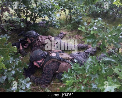 Marines à partir de la 4e Bam et les soldats de la 654e RSG fixé en embuscade pour l'OPFOR. L'abondance de moustiques, l'herbe, le vent, et la pluie, mais pas de l'OPFOR sur cette embuscade. Banque D'Images