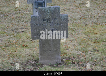 2017 0228 GuentherZ11 Zentralfriedhof Wien Gruppe97 Soldatenfriedhof Wien (Zweiter Weltkrieg) (41) Banque D'Images