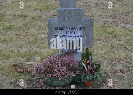 2017 0228 GuentherZ11 Zentralfriedhof Wien Gruppe97 Soldatenfriedhof Wien (Zweiter Weltkrieg) (43) Banque D'Images