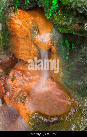 Printemps naturel situé à Yellow Springs Ohio Banque D'Images