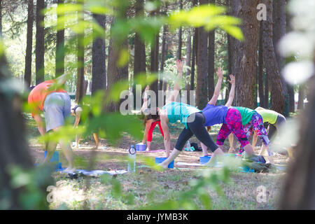 Groupe de jeunes pratiquant le yoga à l'extérieur. Banque D'Images