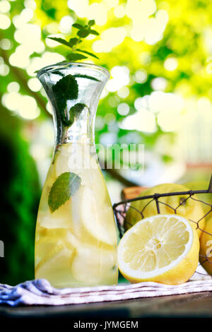 Dans la bouteille de limonade et une corbeille de fruits dans votre panier. Jardin d'été partie. Banque D'Images