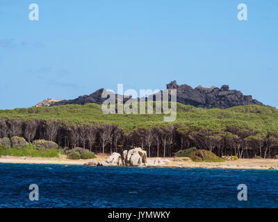 Italie, Sardaigne - Palau. Vue de Punta Nera de forêts de pins et des roches qui ressemblent à la baignade des éléphants. Banque D'Images