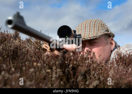 Chasse au cerf sur la succession de Blair Atholl en Écosse Banque D'Images