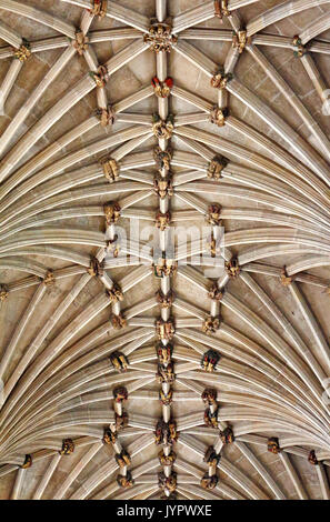 Vue de la voûte et des bossages sur le plafond de la nef de la cathédrale anglicane de la ville de Norwich, Norfolk, Angleterre, Royaume-Uni. Banque D'Images