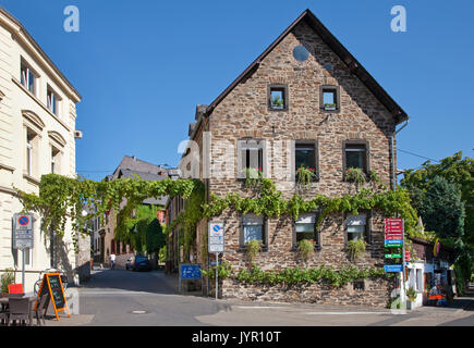 Weinort Winningen, Untermosel, Landkreis Mayen-Koblenz, Rheinland-Pfalz, Deutschland, Europa | village viticole de Winningen, Moselle, Rhineland-Palati Banque D'Images