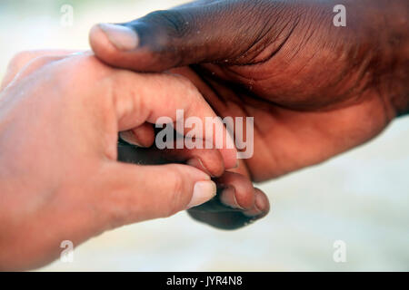 Mains d'une femme de race blanche et d'un homme africain Banque D'Images