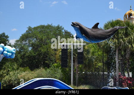 Dolphin volant par l'air Banque D'Images