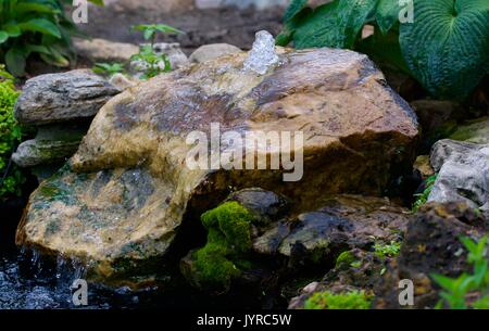 Bulles de l'eau d'une fontaine avec verdure rock Banque D'Images