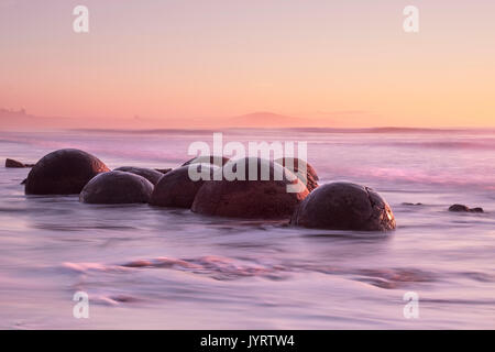 Moeraki Boulders semi-immergé au lever du soleil Banque D'Images