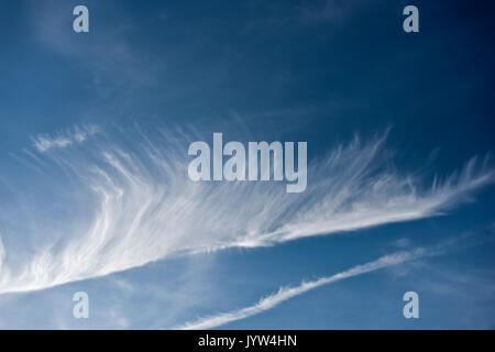 Whispy mares tails de nuage dans un ciel bleu Banque D'Images