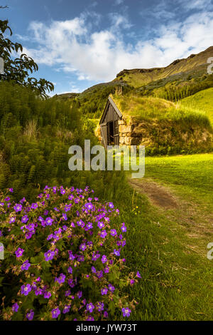 Le Sud de l'Islande, Skógar. Maisons aux toits d'herbe iconique. Banque D'Images