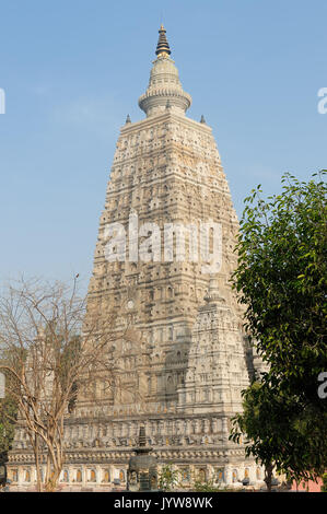 Mahabodhy Temple complexe dans la ville de Bodhgaya en Inde Banque D'Images