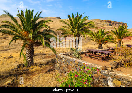 Oasis de palmiers dans paysage de désert sur le sentier de randonnée à Punta de Sao Lourenco, péninsule de l'île de Madère, Portugal Banque D'Images