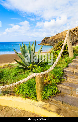 Belle vue de la plage de Prainha de plantes tropicales en premier plan près de Canical ville, l'île de Madère, Portugal Banque D'Images