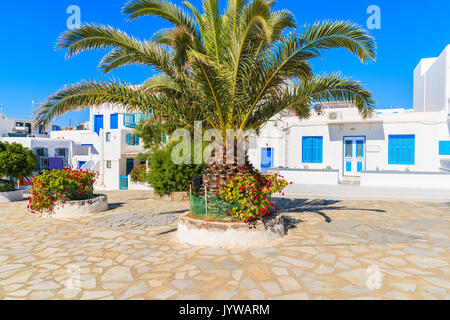 Palmier sur place avec maisons blanches typiques aux volets bleus dans la ville de Mykonos, l'île de Mykonos, Grèce Banque D'Images