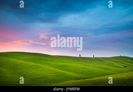 Pienza, Toscane, Italie. Coucher de soleil sur les collines et les cyprès. Banque D'Images