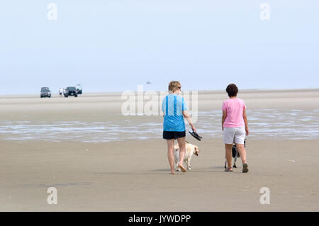 Marcher les chiens sur la plage de stockage froid - MA - Dennis, Cape Cod Banque D'Images