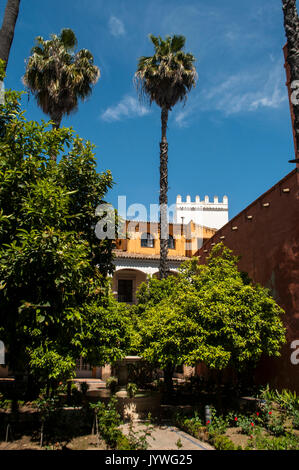 Les détails architecturaux et vue sur les jardins du patio de la Alcubilla, une cour de l'Alcazar de Séville, le palais royal de l'architecture mudéjar Banque D'Images