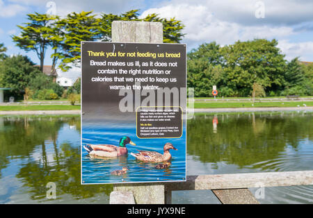 Inscrivez-vous à un lac à demander aux gens de ne pas nourrir de pain pour les canards, car elle les rend malades dans Mewsbrook Park, Littlehampton, West Sussex, Angleterre, Royaume-Uni. Banque D'Images