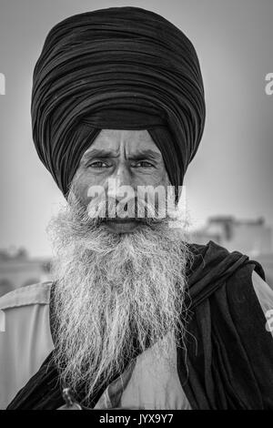 Garde Sikh au Golden Temple d'Amritsar, Punjab, complexes, le nord de l'Inde Banque D'Images