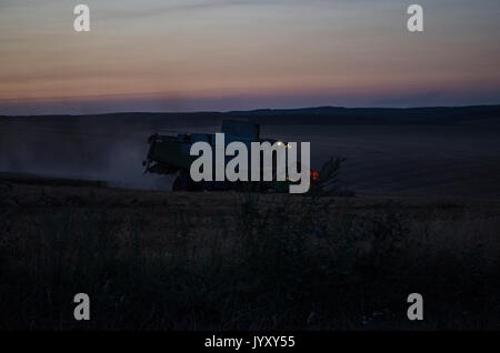La récolte de nuit, les pêcheurs récoltent sur un champ de blé. Banque D'Images