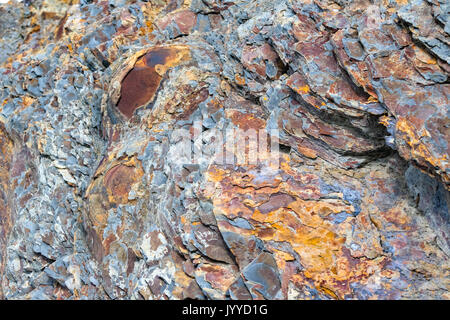 Colorés, détaillées Close up detail de Falaise à Babbacombe falaises de la côte nord du Devon, près de moulins de Bucks. Bideford Bay, Devon, Angleterre, Banque D'Images