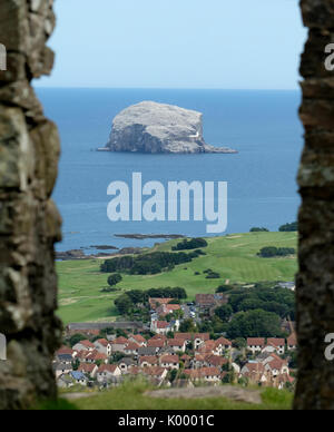 Le Bass Rock, North Berwick East Lothian abrite la plus grande colonie de fous de Bassan au monde et est un site d'intérêt scientifique. Banque D'Images