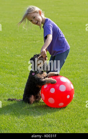 Petite fille son chien formation Banque D'Images