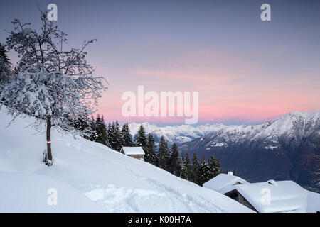 Ciel rose à l'aube au-dessus de huttes couvertes de neige et d'arbres Tagliate Di Sopra Gerola Valley Alpes Orobie Valtellina Lombardie Italie Europe Banque D'Images