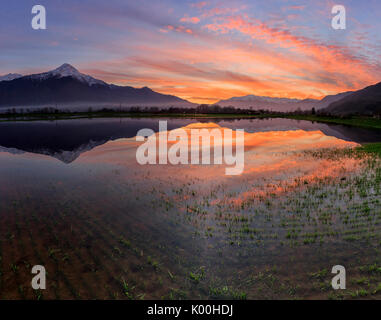 Vue panoramique de Pian di Spagna inondé avec le Mont Legnone reflétée dans la mer au coucher du soleil la Valtellina Lombardie Italie Europe Banque D'Images