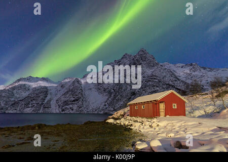 Le Nord s'allument des sommets enneigés et le chalet en bois par une nuit étoilée à Budalen Svolvaer Lofoten, Norvège Europe Banque D'Images